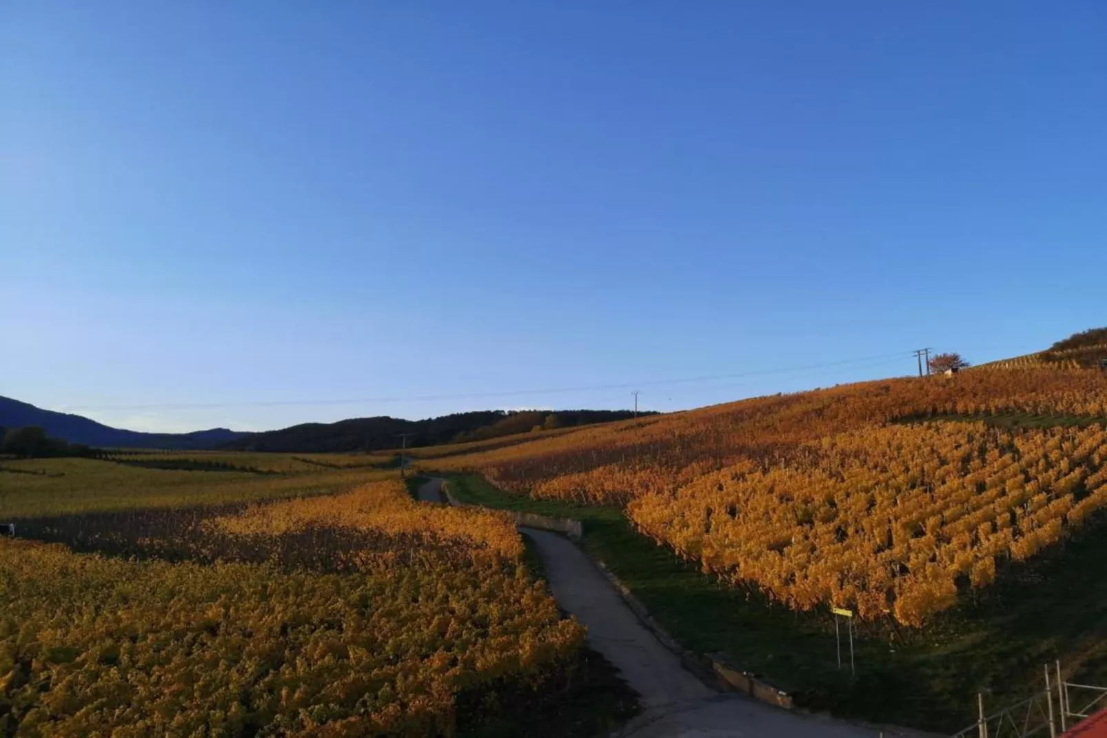 Le Domaine des Rois 3-Areas within 5km in summer