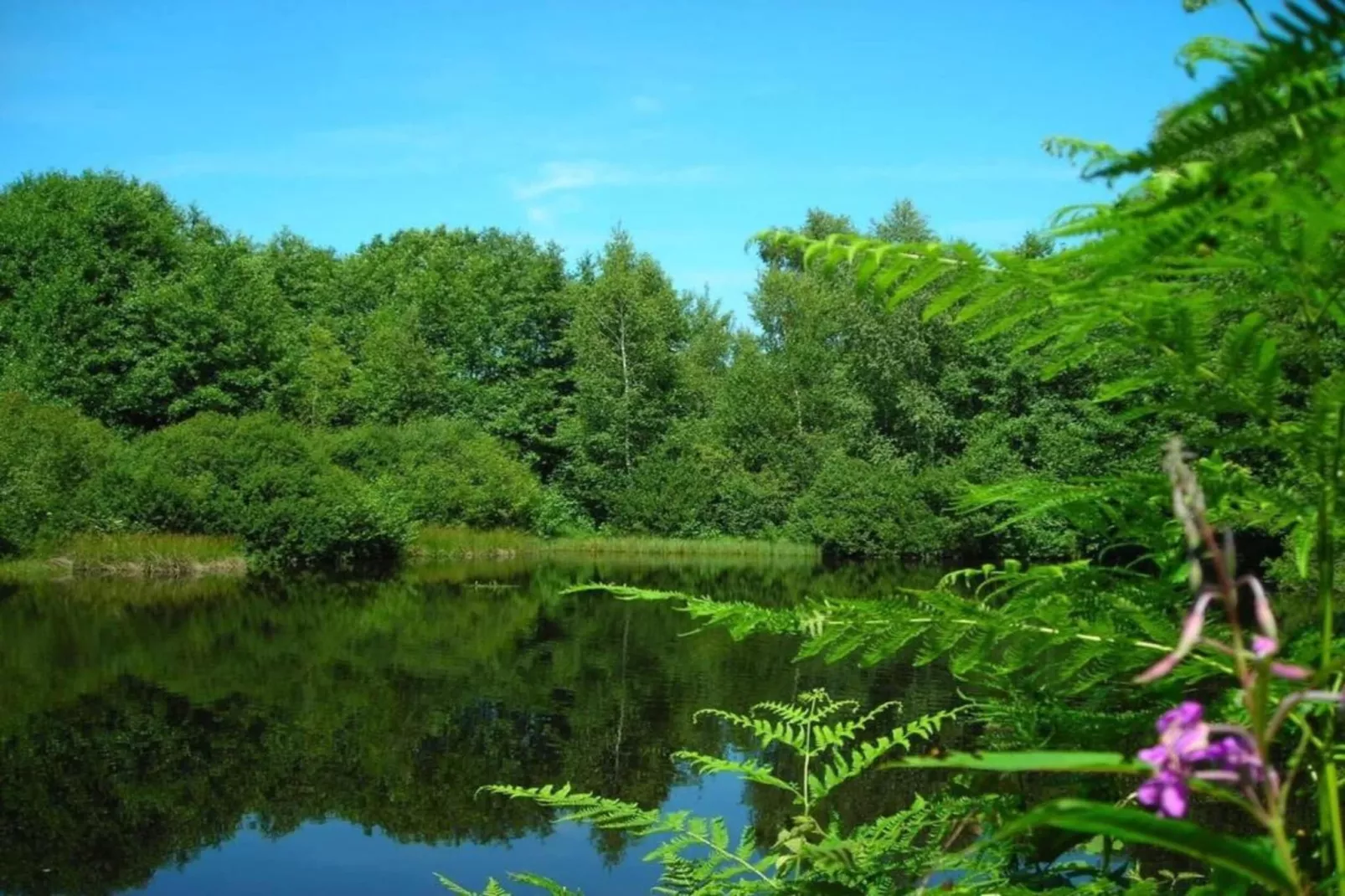 Maison de vacances - ESMOULIÈRES-Gebiete Sommer 5 km