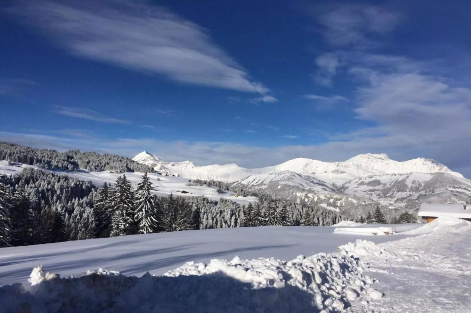 Résidence Les Belles Roches 1-Gebiet Winter 20 km