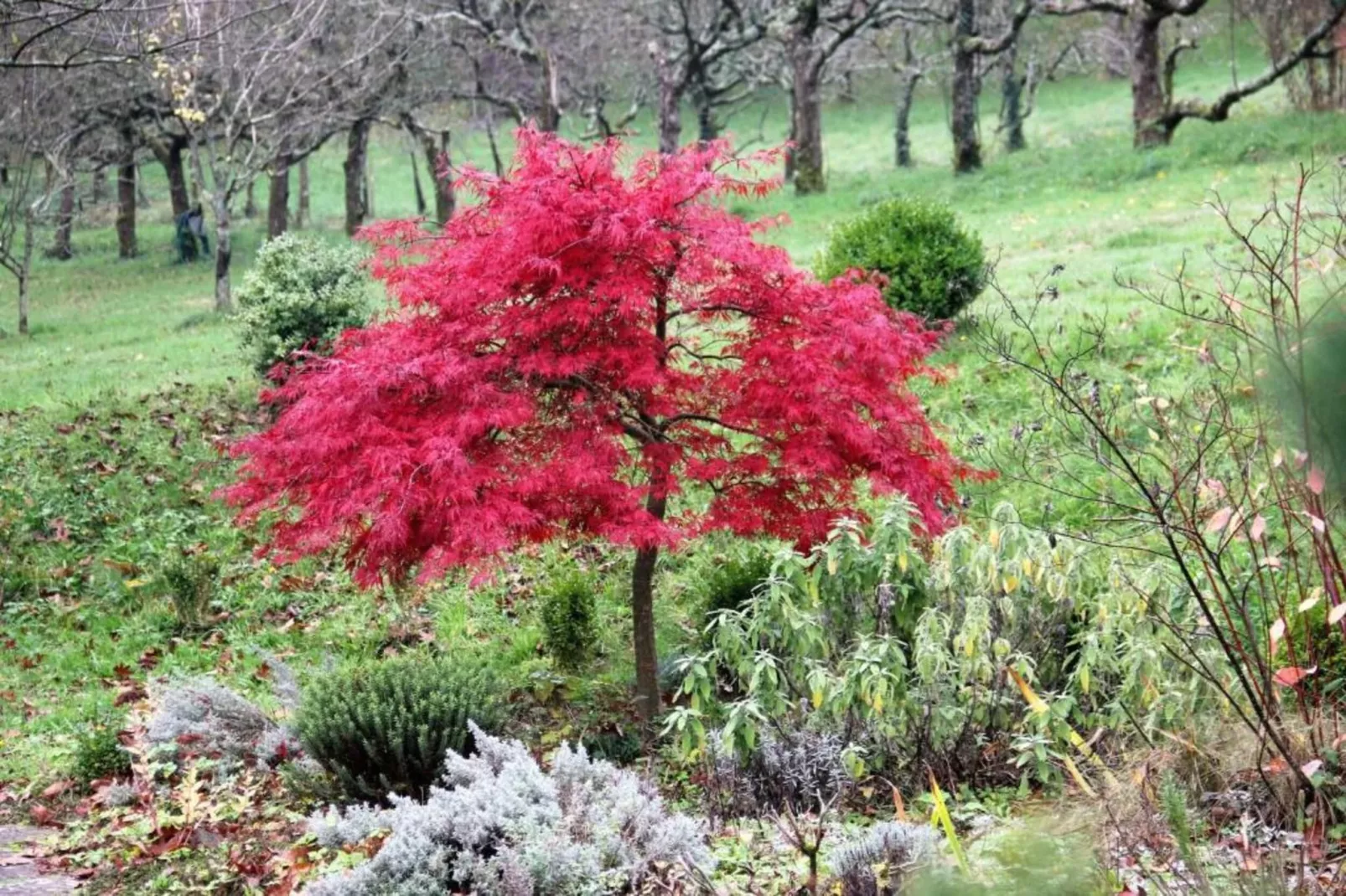 Royal Green Parc - Golf de Mazamet 1-Areas within 5km in summer