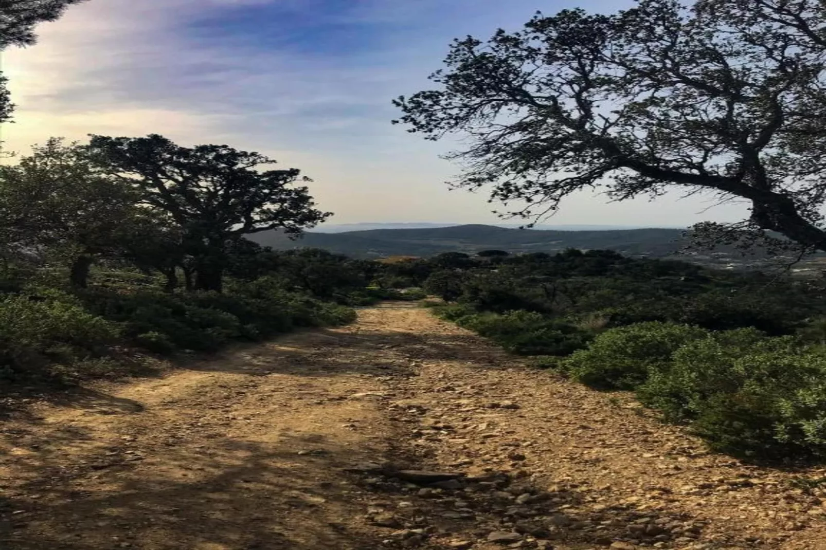 La Ratatouille-Areas within 20km in summer