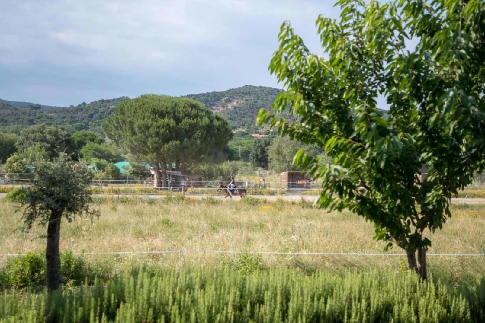 La Palmeraie 1-Areas within 5km in summer