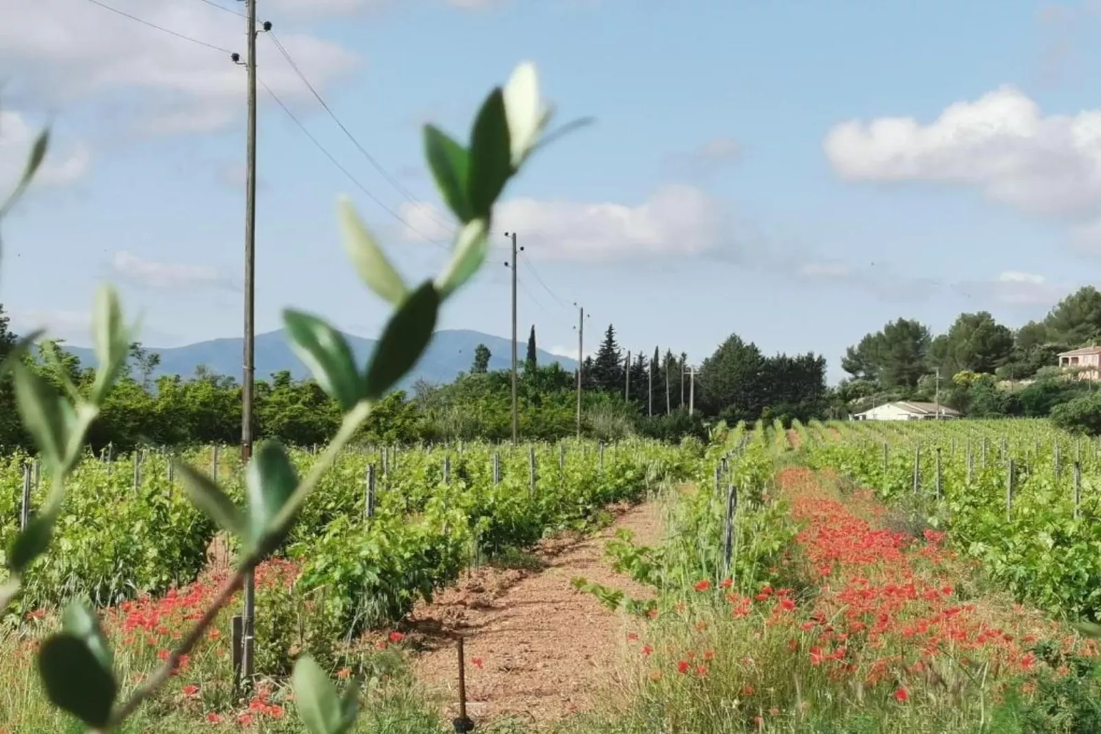 Villa Entrecasteaux-Zones d'été à 20 km
