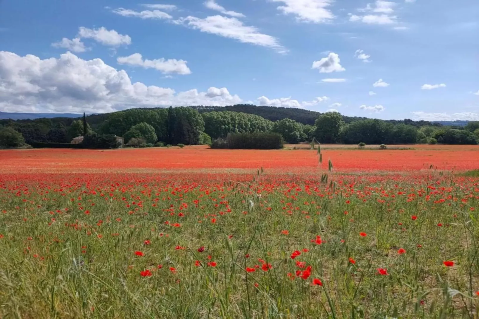 La Bastide des Chênes 2-Gebiete Sommer 20 km