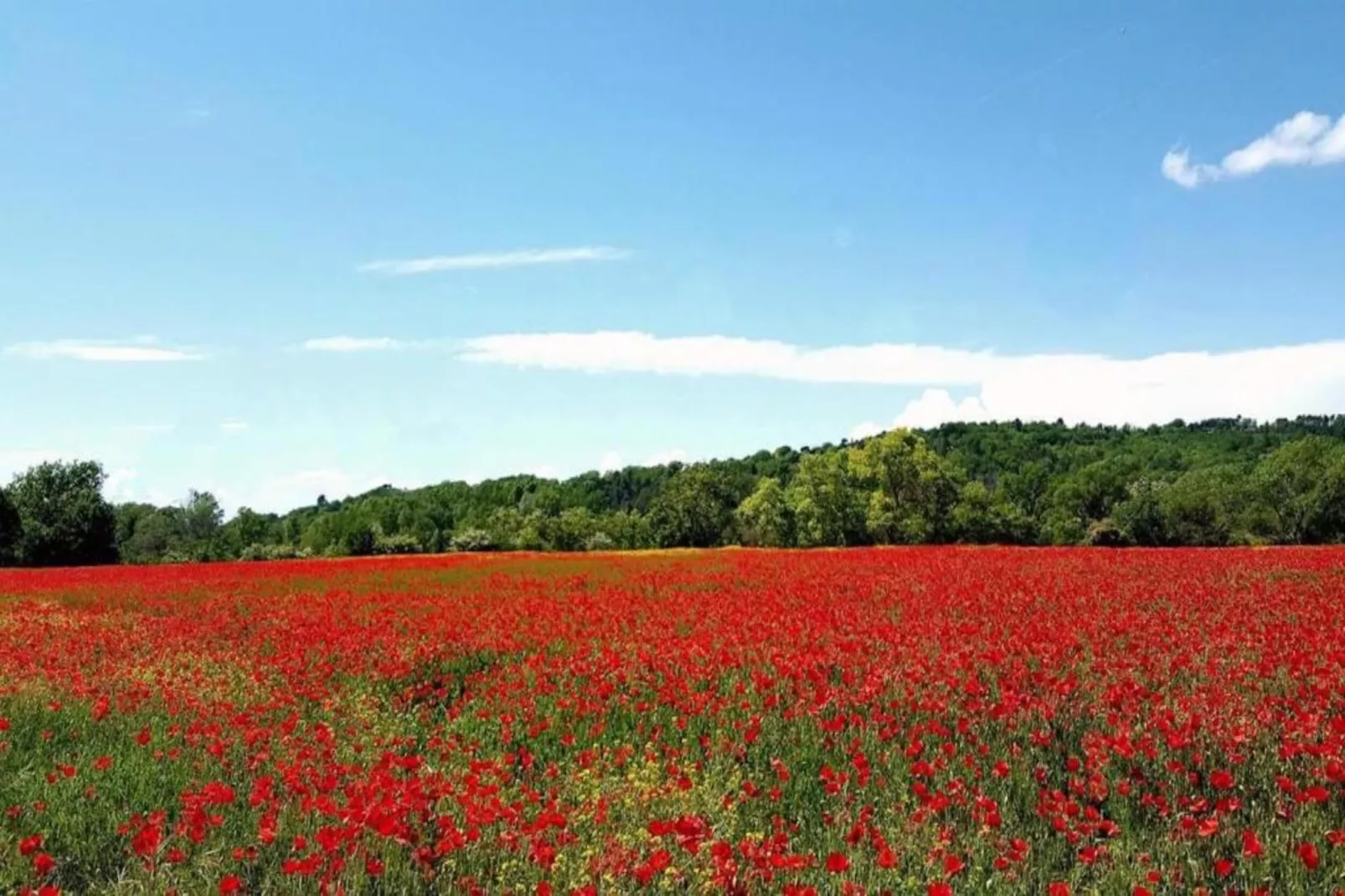 Les 4 Soleils 1-Gebiete Sommer 20 km