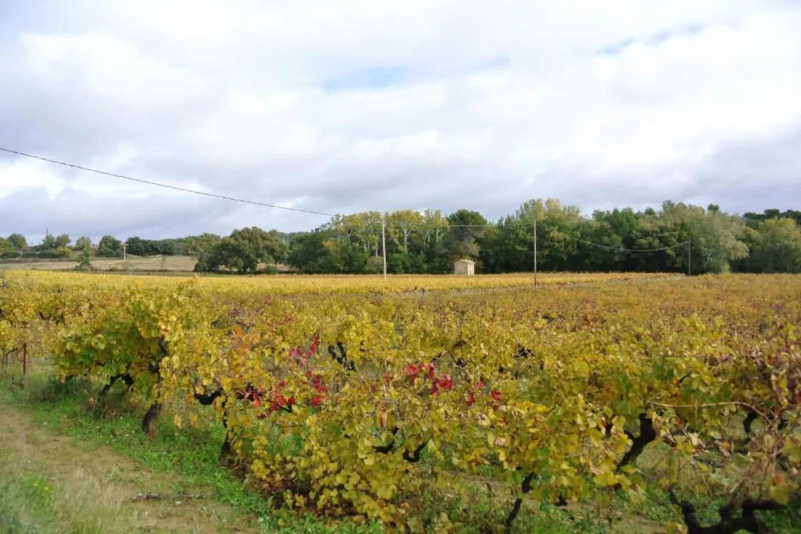 Entre Luberon et Avignon-Areas within 20km in summer