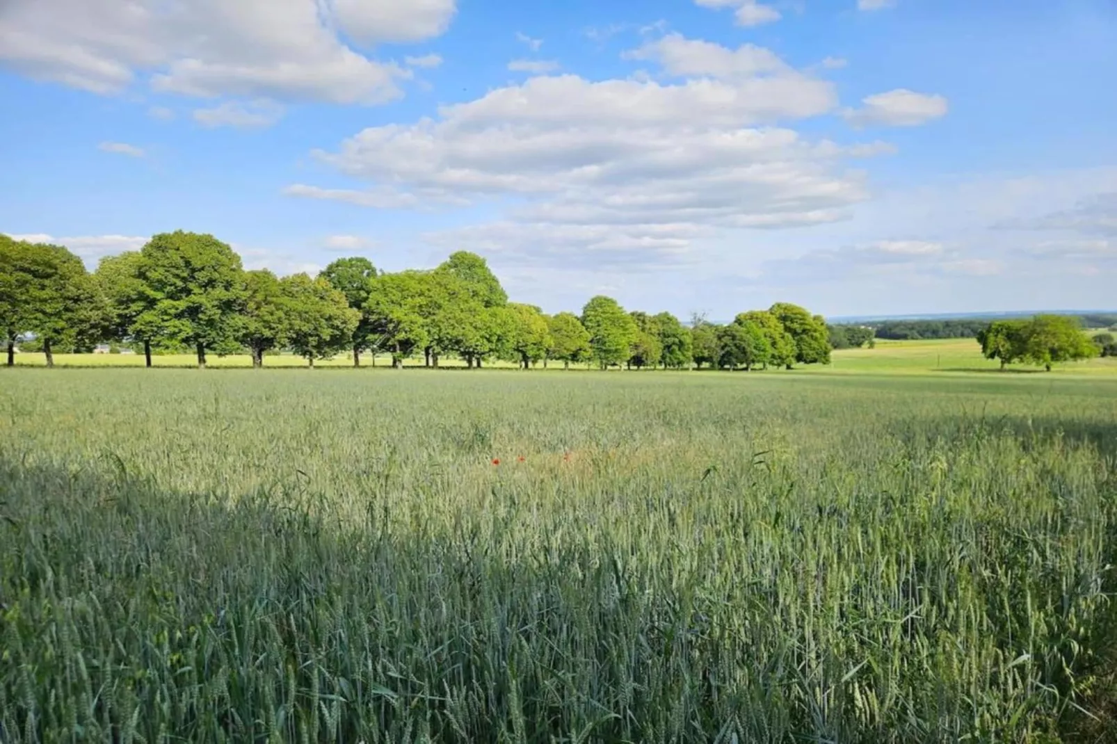 Maison de vacances Sossay-Gebiete Sommer 5 km