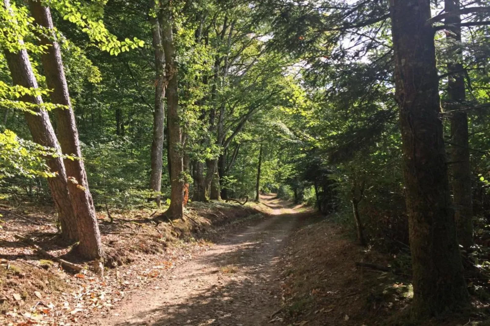 L'Ecole-Areas within 5km in summer