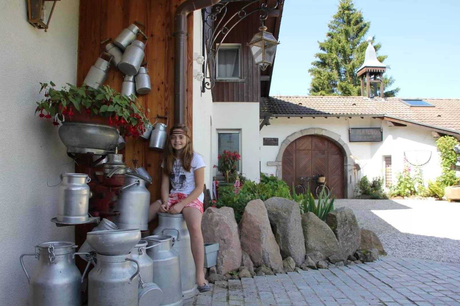 Les Chalets des Ayes 7-Hall & reception