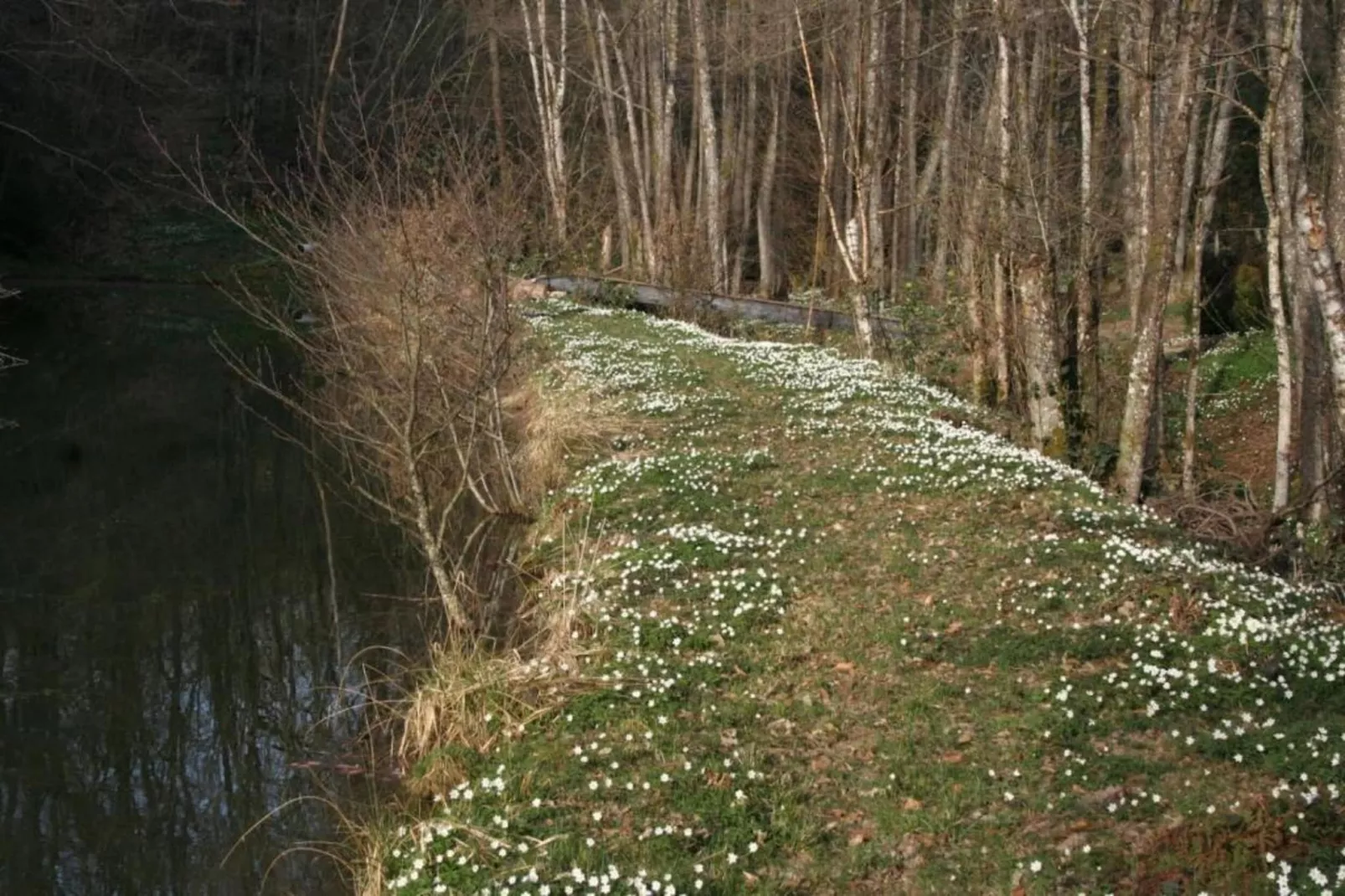 Maison de vacances - LA CHAPELLE-AUX-BOIS-Gebiete Sommer 5 km