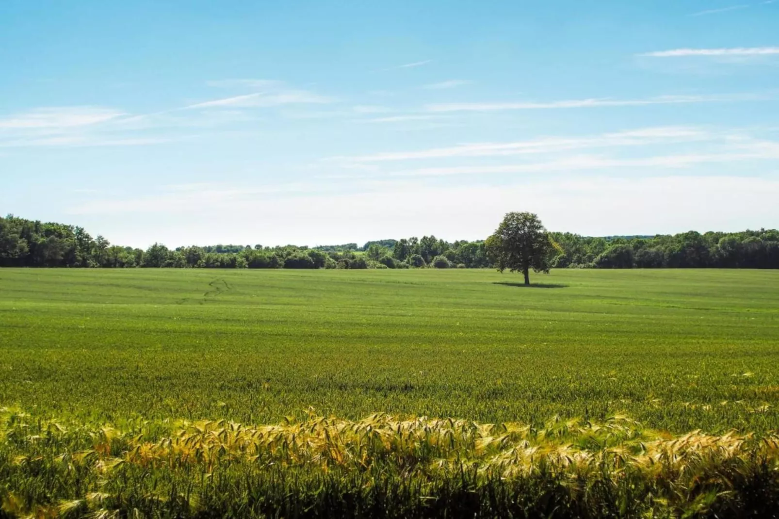 Higher House-Areas within 20km in summer