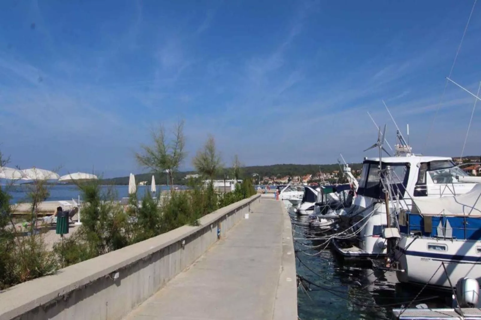 Apartment Grzan-Areas within 1km in summer