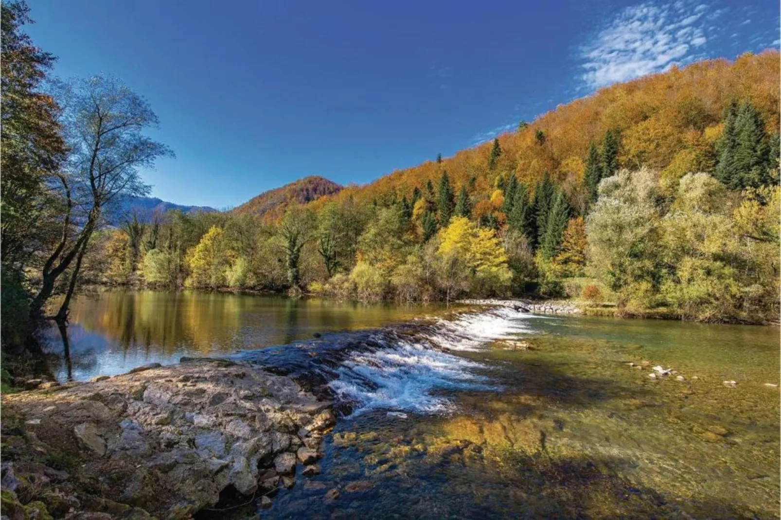 Holiday Houses Silvano-Areas within 20km in summer