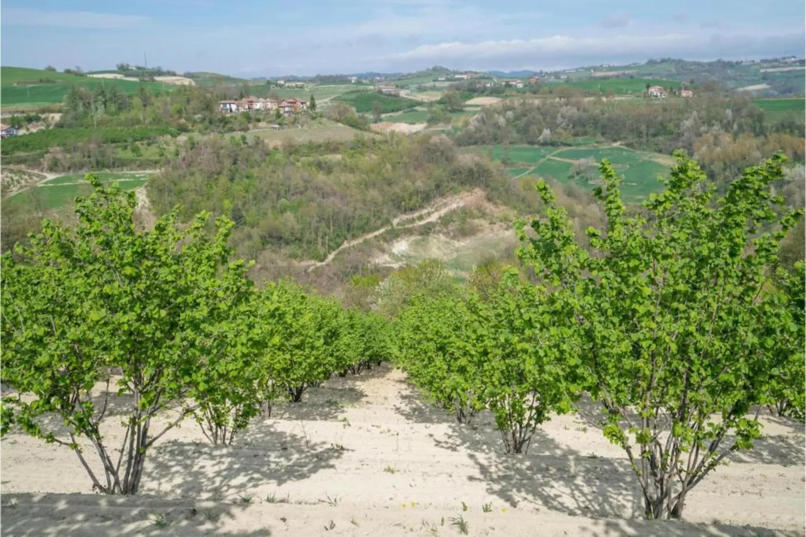 La Torre-Areas within 20km in summer