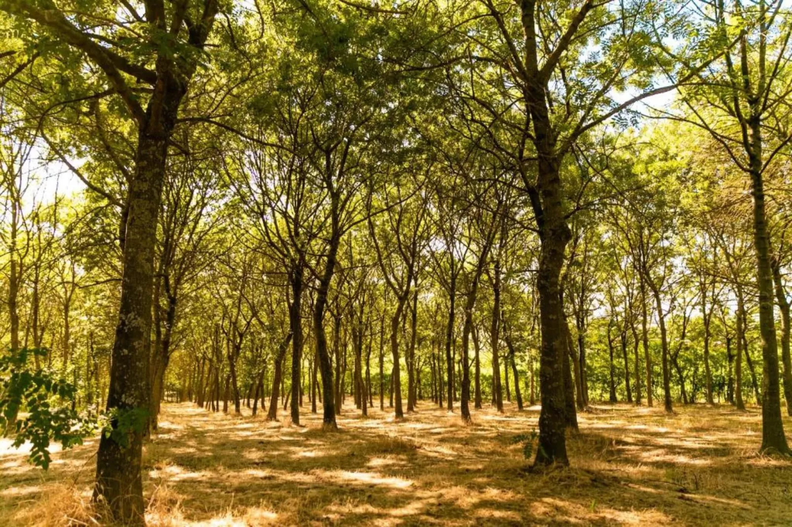 Campo Quattro-Zones été à 20 km