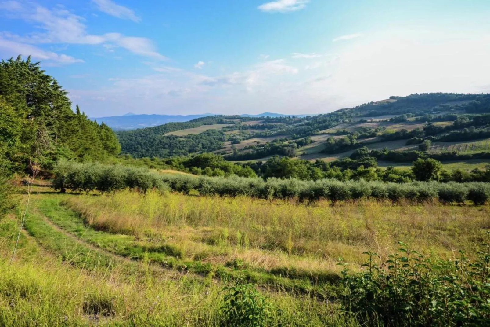 Loggia-Areas within 5km in summer