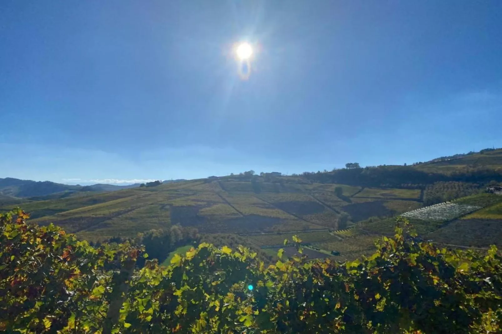 Barolo-Areas within 20km in summer