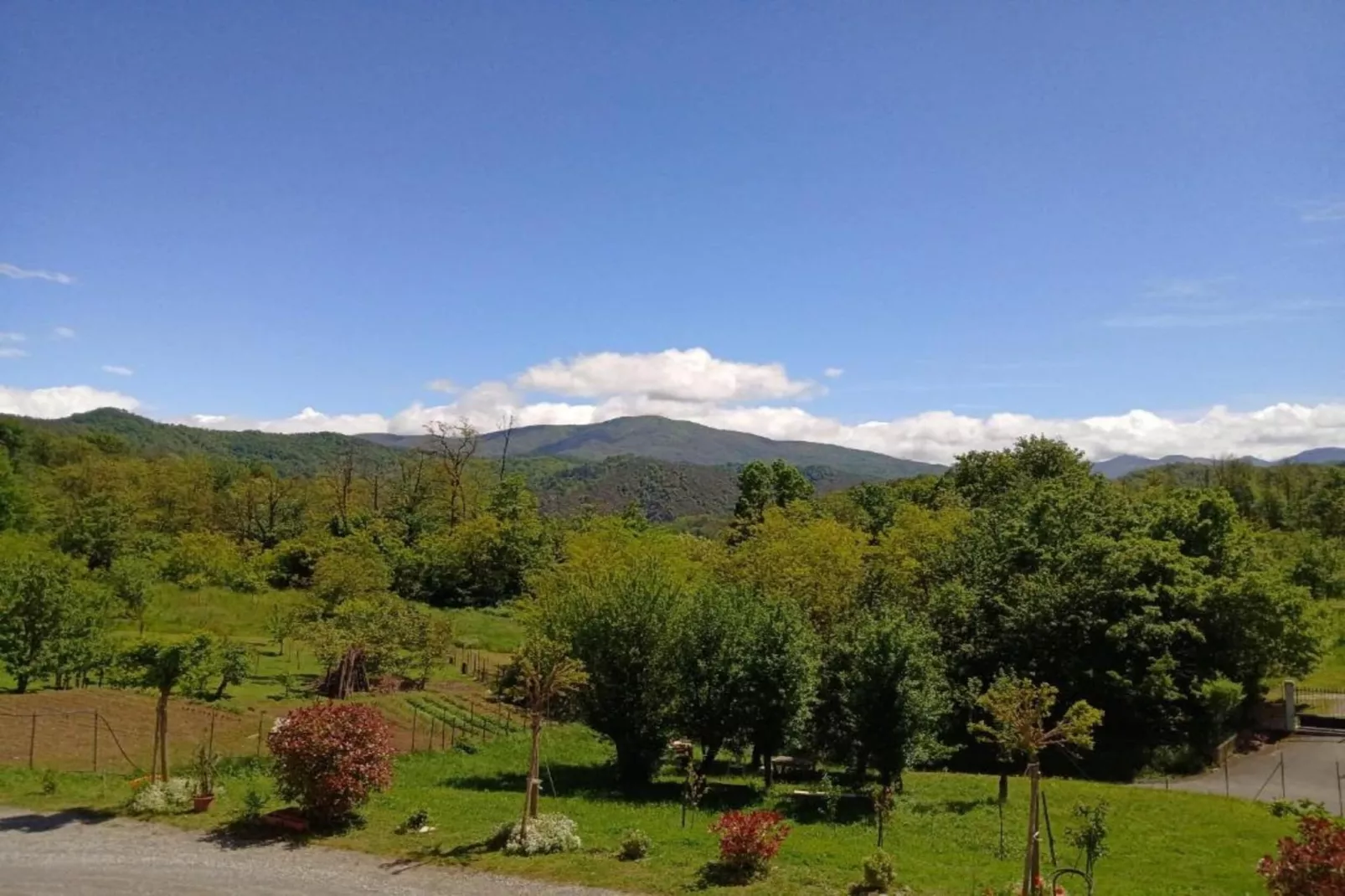 Nobile-Areas within 20km in summer