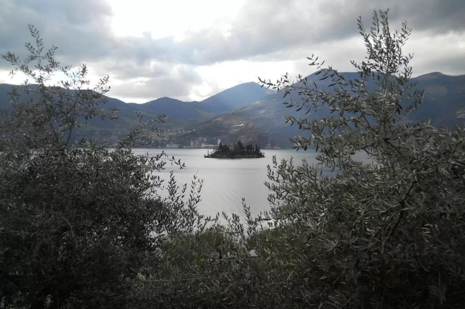 Bellavista-Areas within 20km in summer