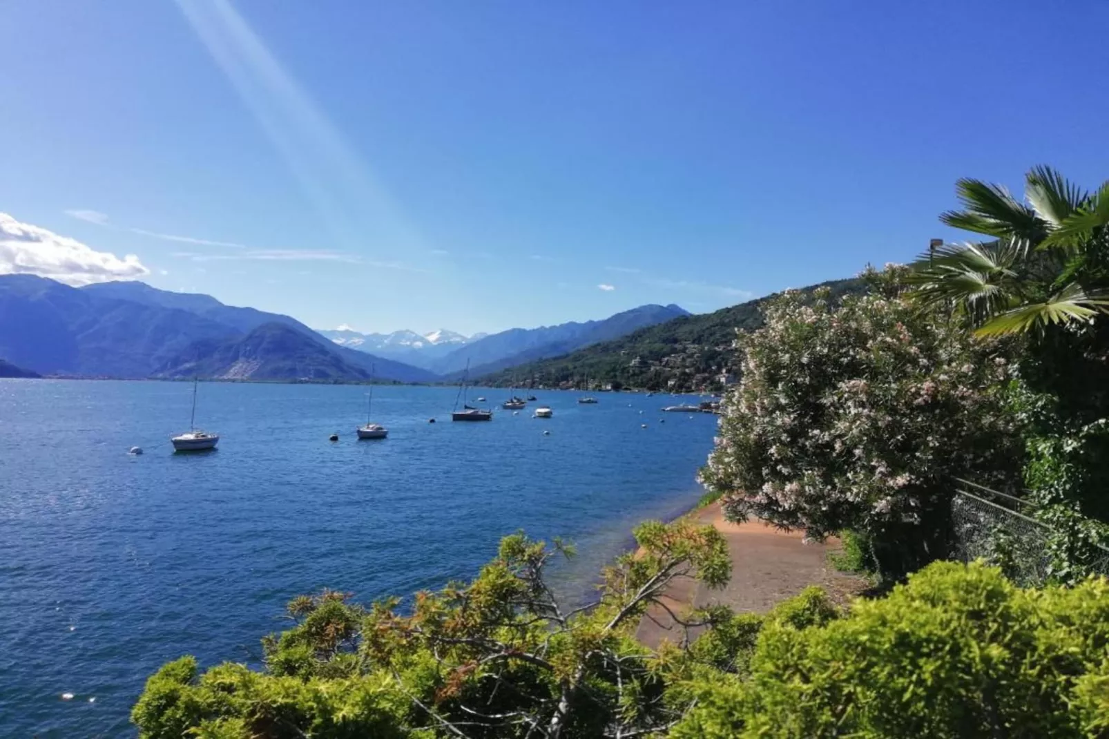 Cielo d'Italia-Areas within 20km in summer