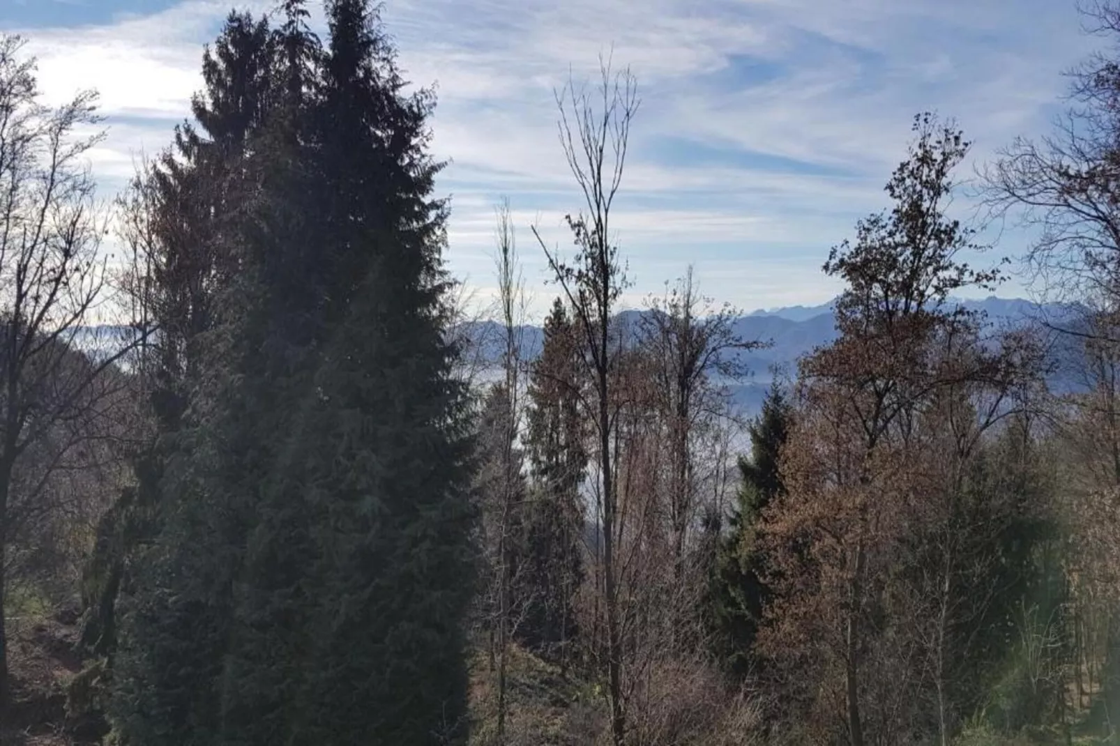 Verdelago Quattordici-Areas within 20km in summer