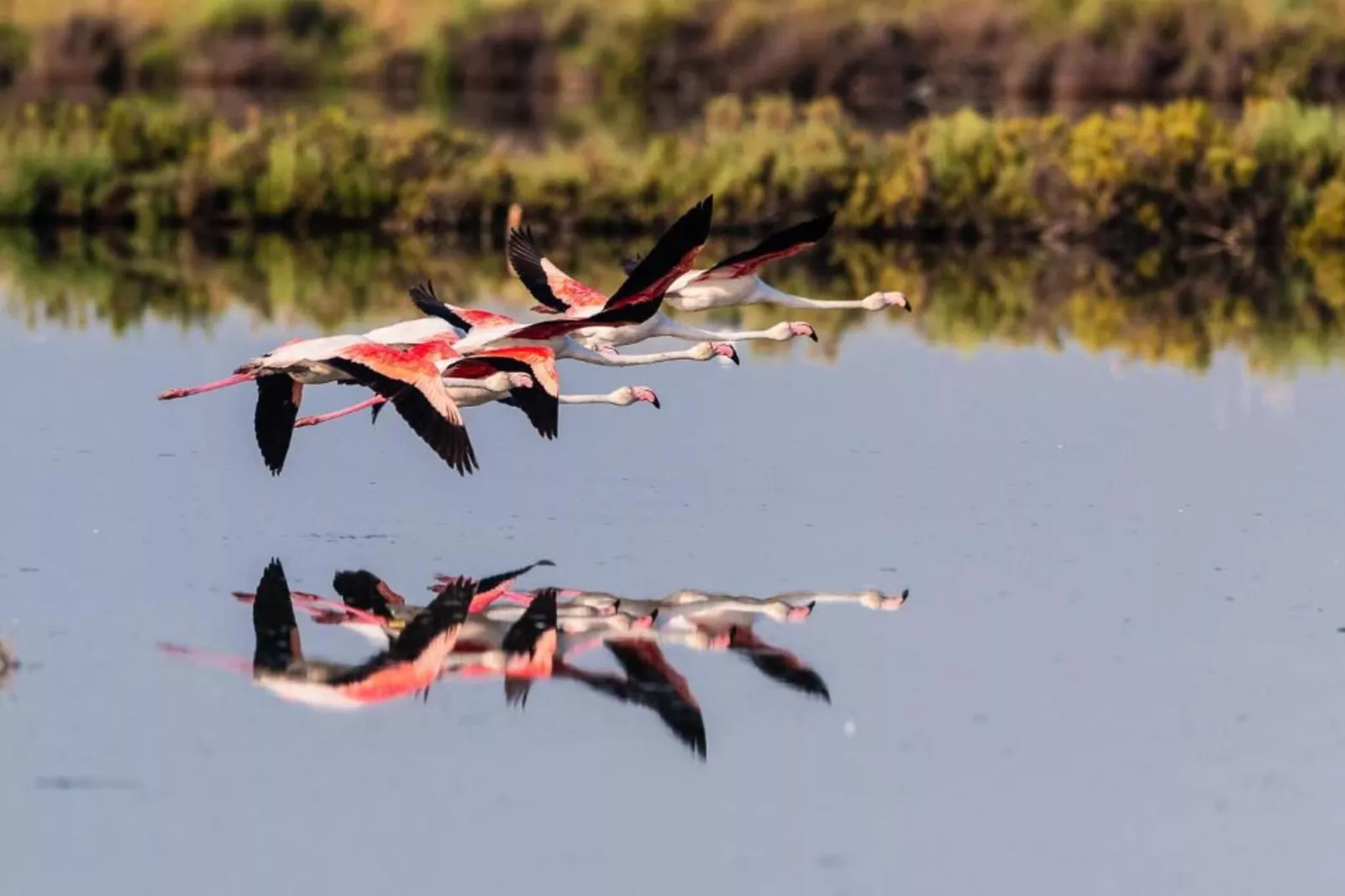 Ceseta 3 - Areas within 1km in summer