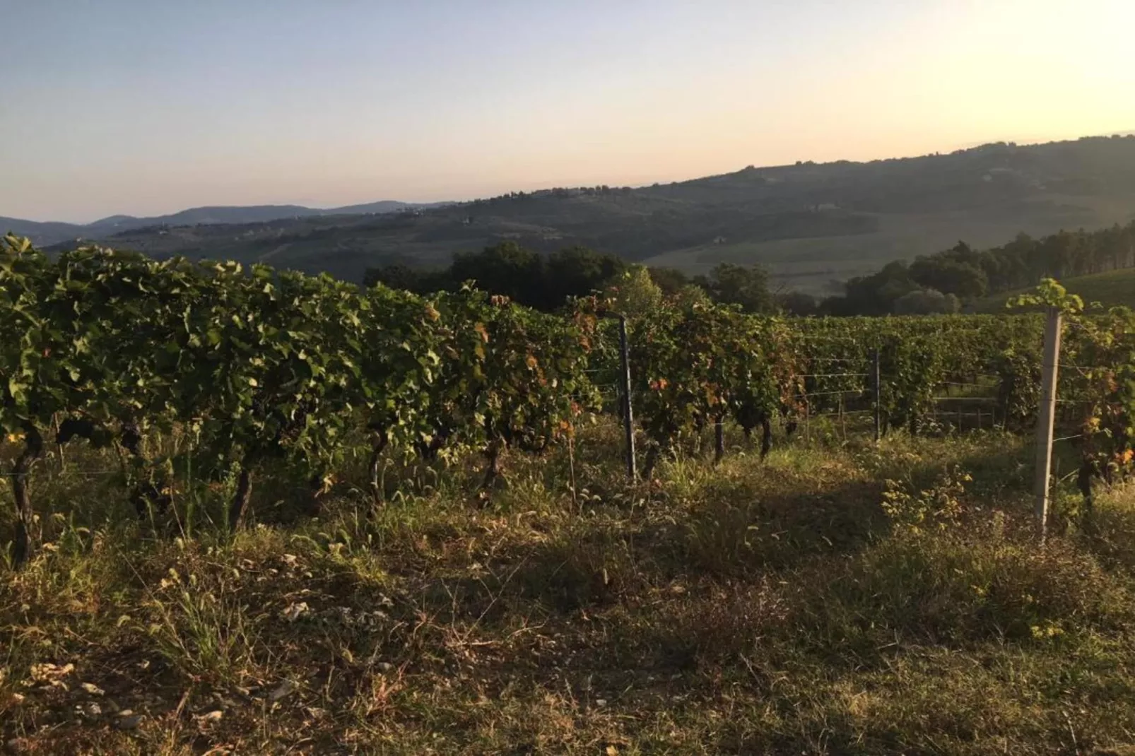 Casalini 2-Areas within 5km in summer
