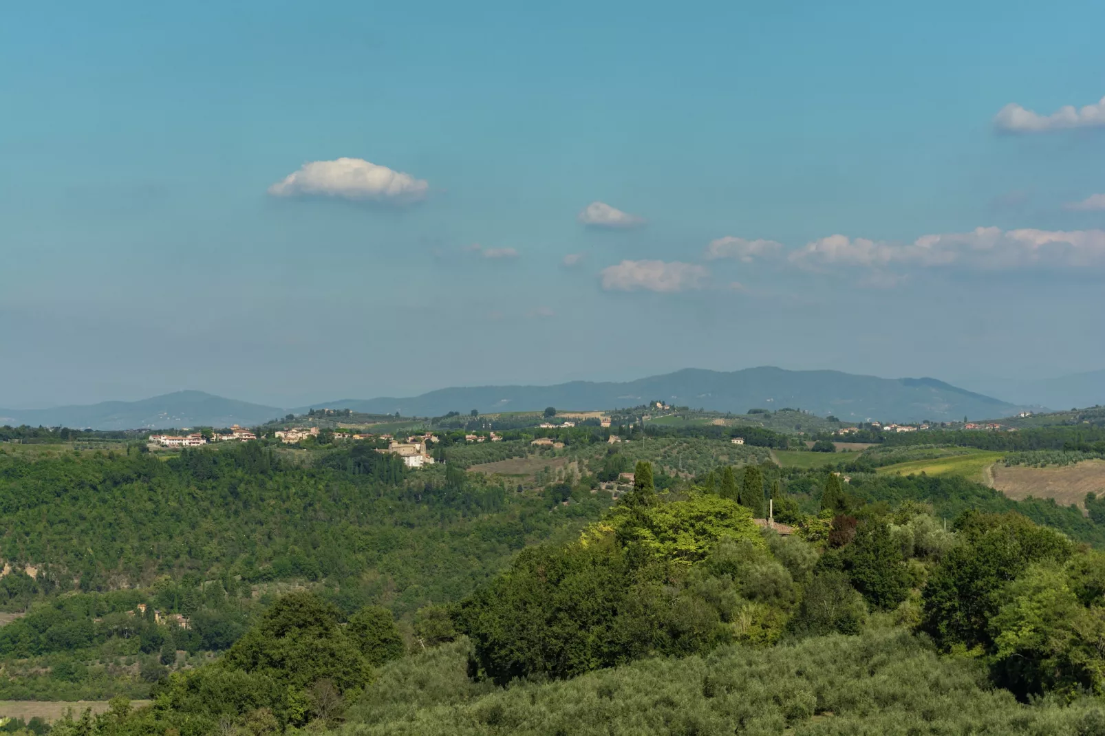 Il Querceto Prima-Areas within 1km in summer