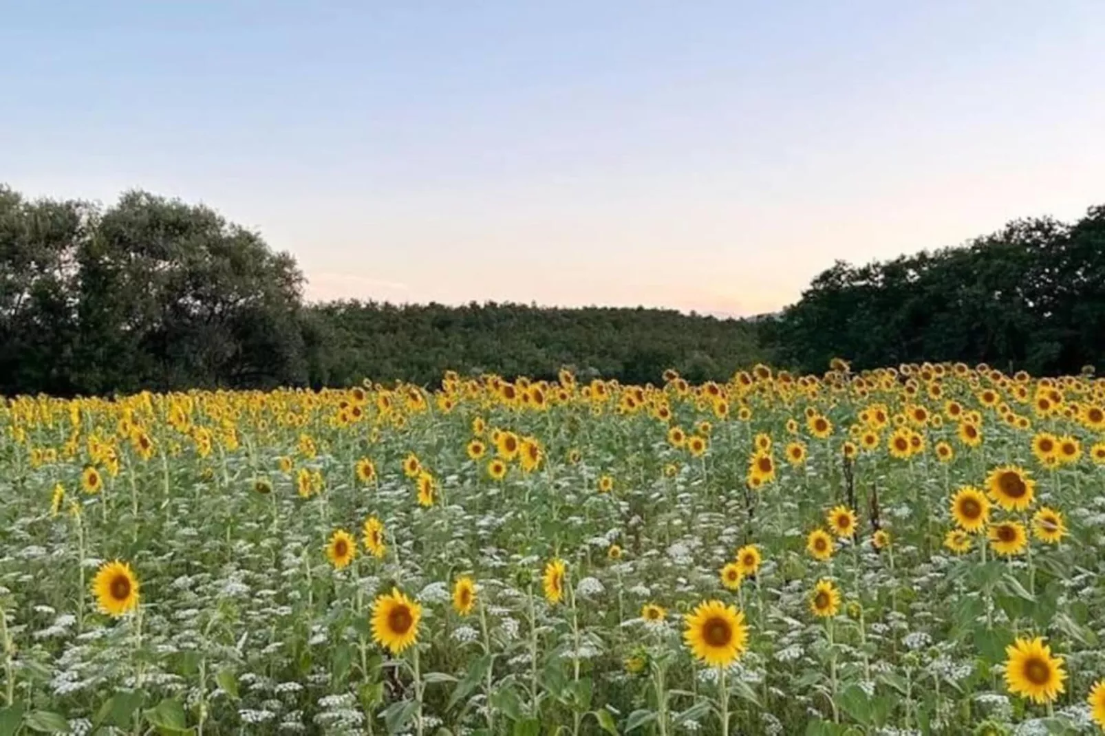 Chianti Village Morrocco T5-Areas within 5km in summer