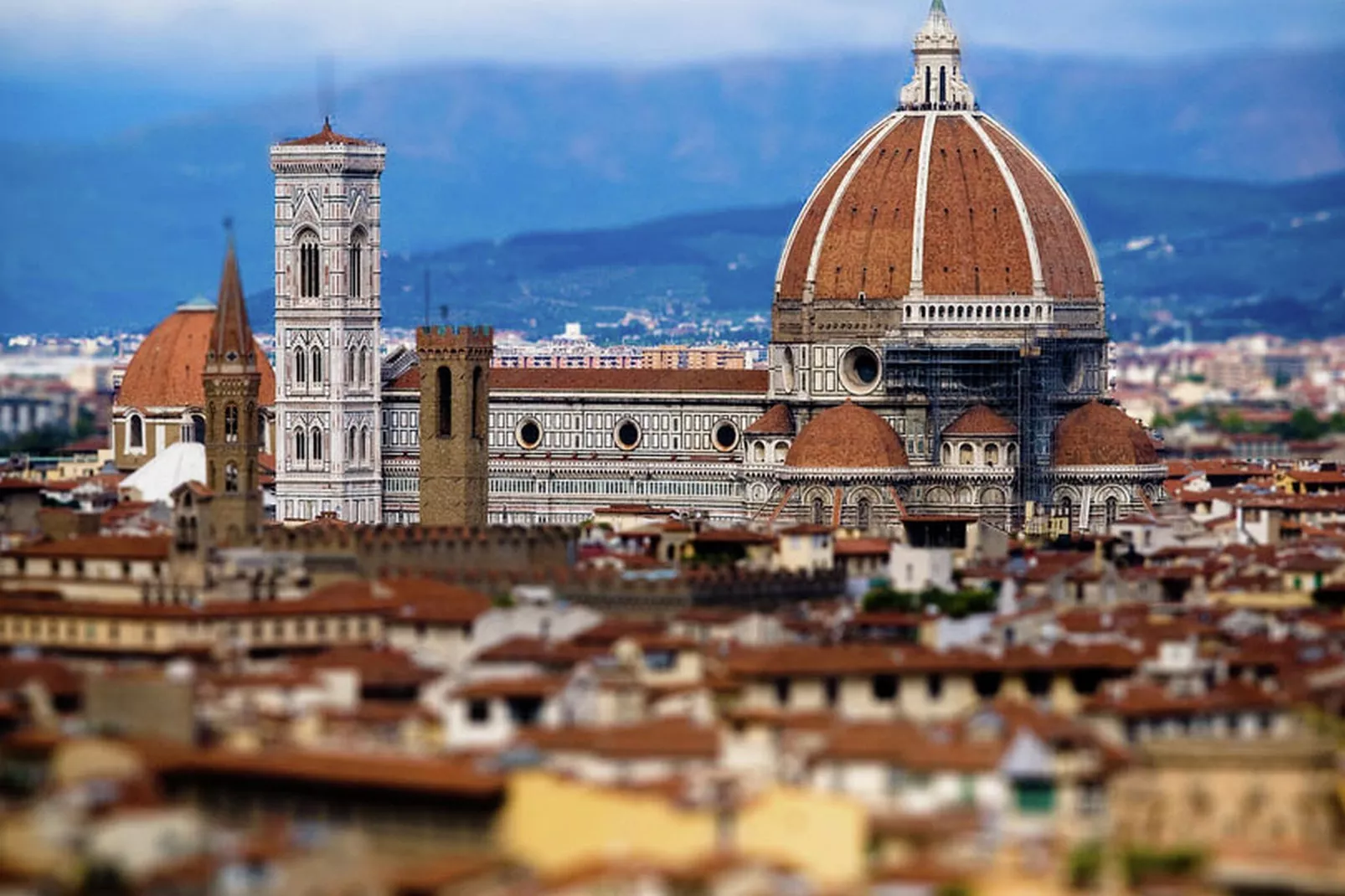 Leonardo-Areas within 5km in summer