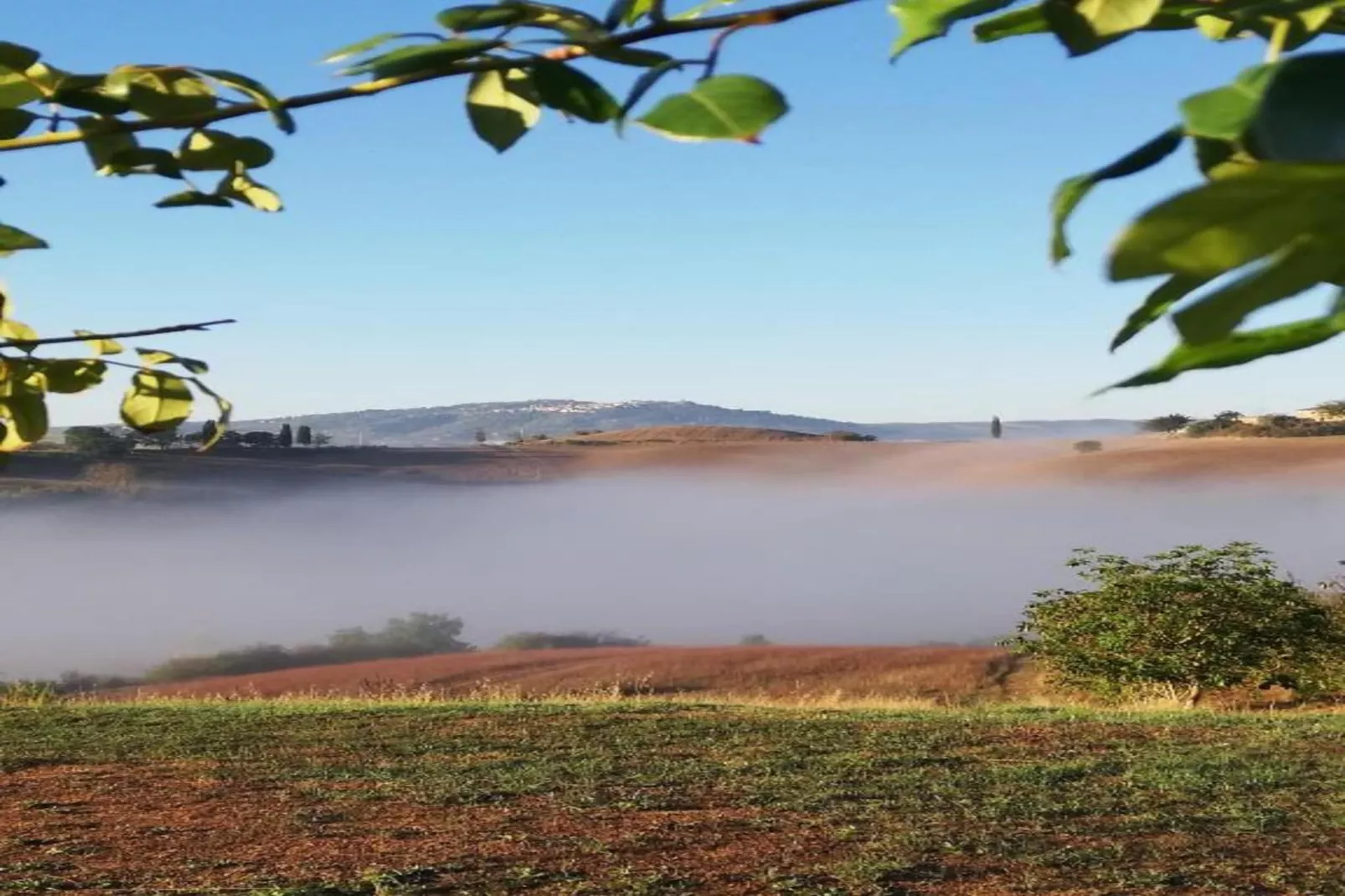 Matilde-Areas within 5km in summer