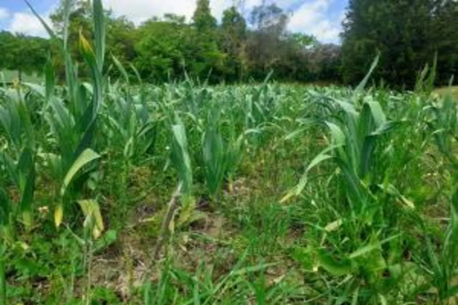 Poggio Casale-Areas within 20km in summer