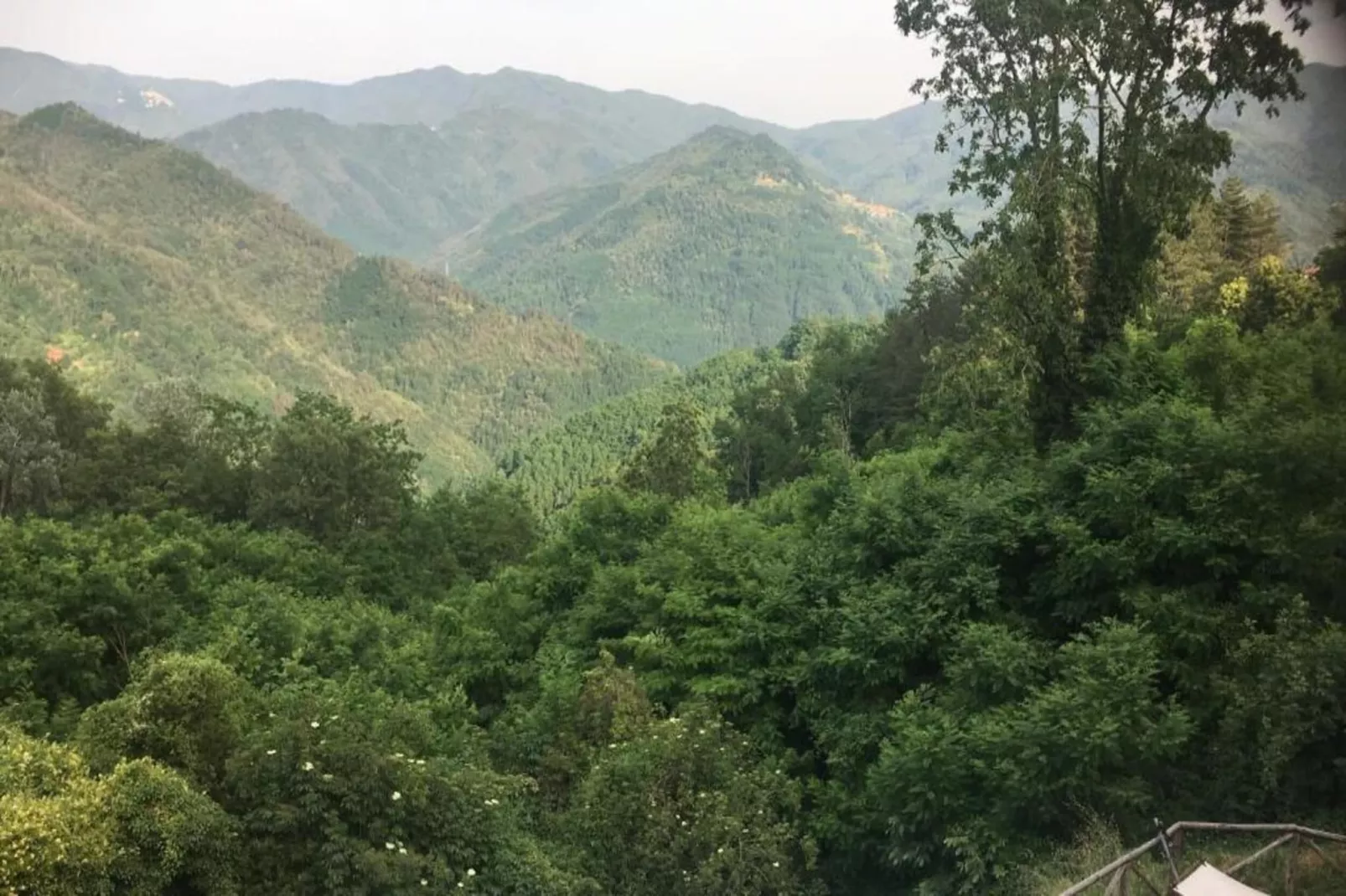 Vignoli-Zones été à 20 km