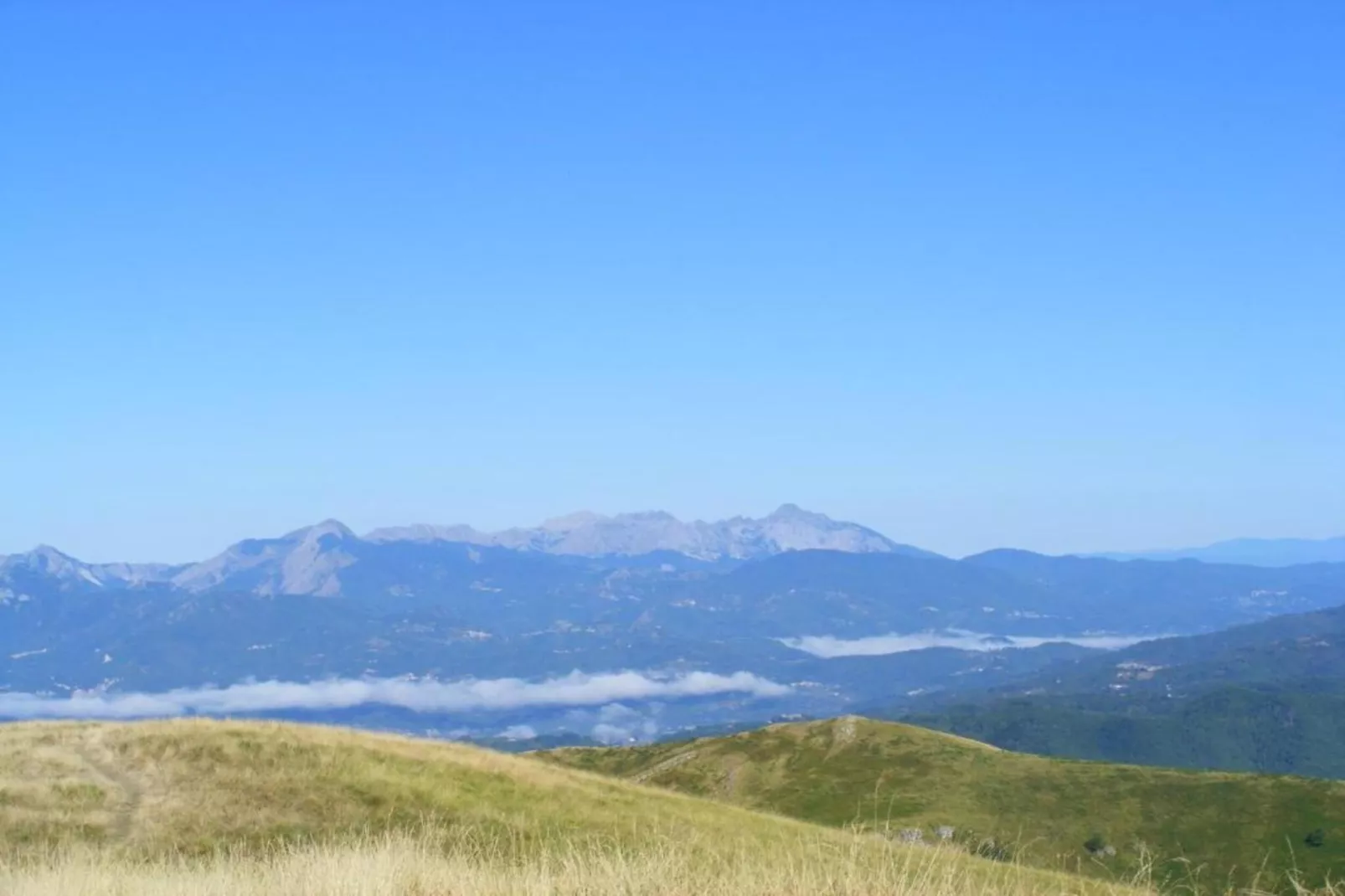 Vistaverde-Areas within 5km in summer