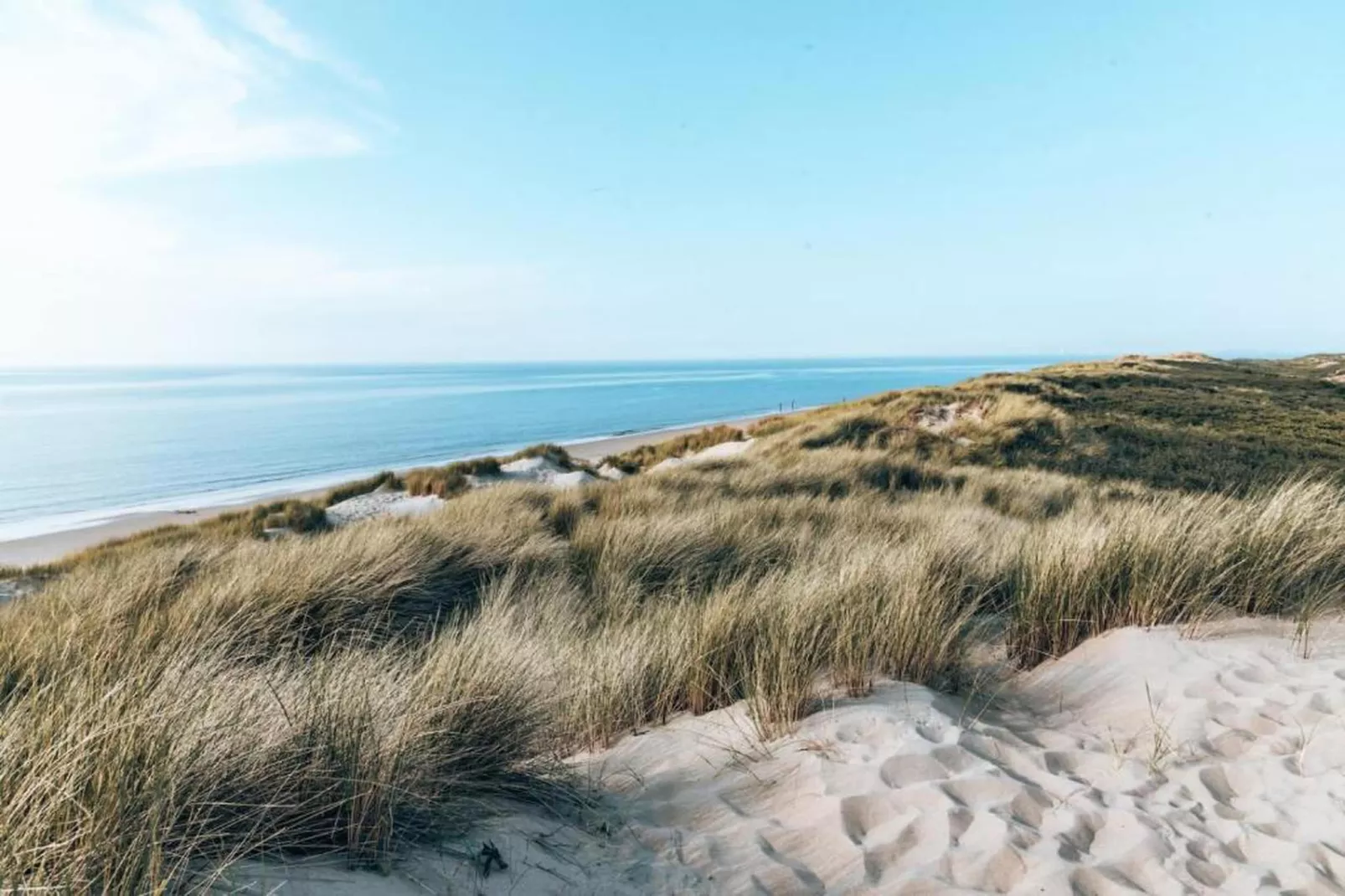 Strandslag 115-Areas within 20km in summer