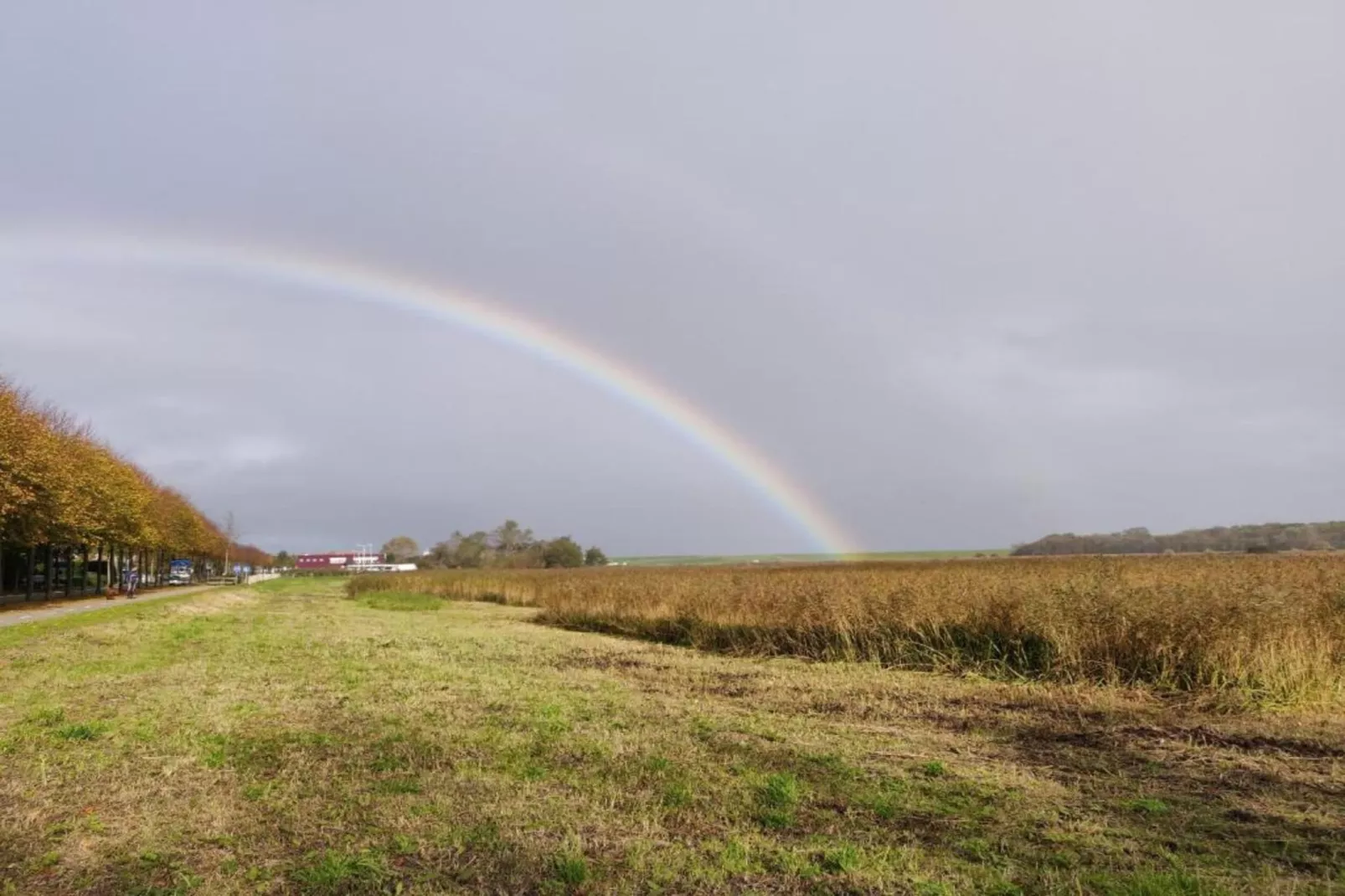 Kustpark Texel 2-Gebiete Sommer 20 km
