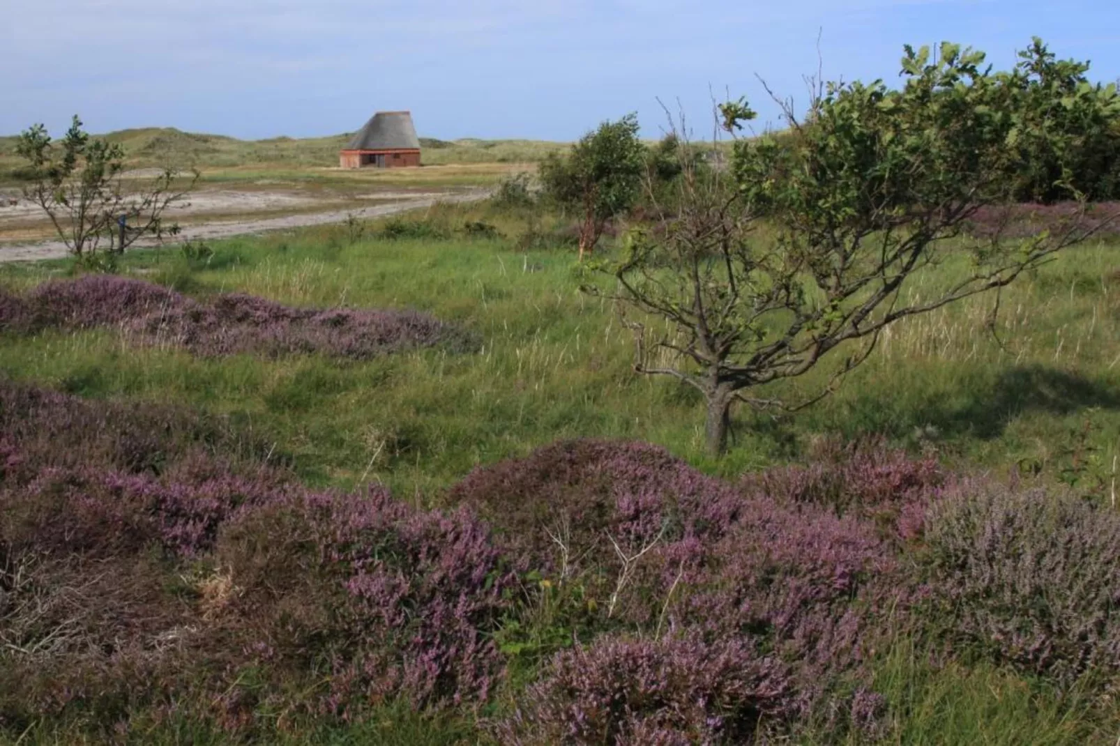 Residentie Californië 2-Gebiete Sommer 20 km