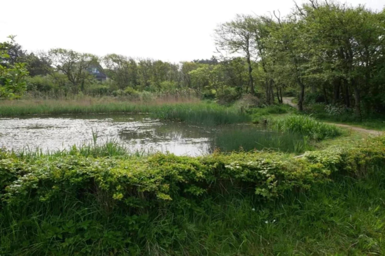 Huize Glory Saffier-Areas within 20km in summer
