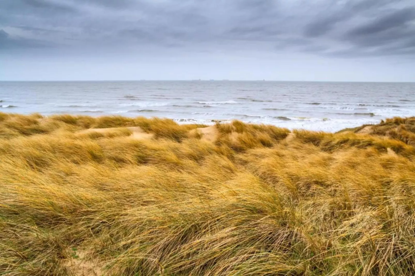 Vakantiepark Kijkduin 6-Areas within 20km in summer