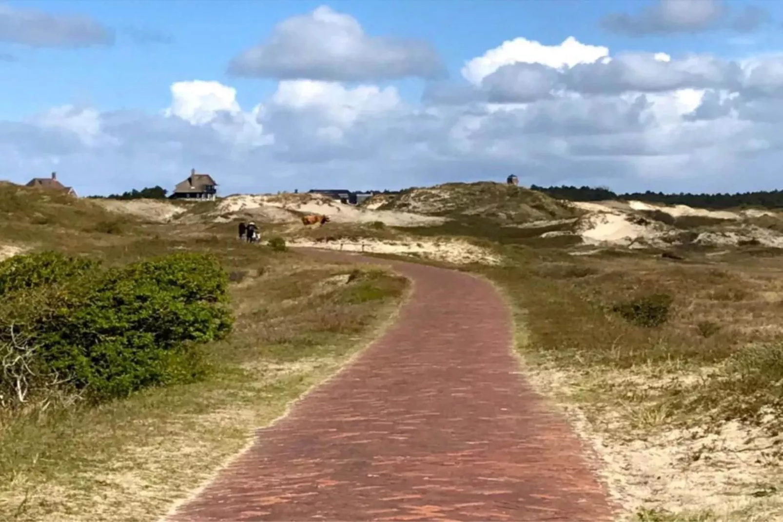 Vier Duinen-Areas within 20km in summer