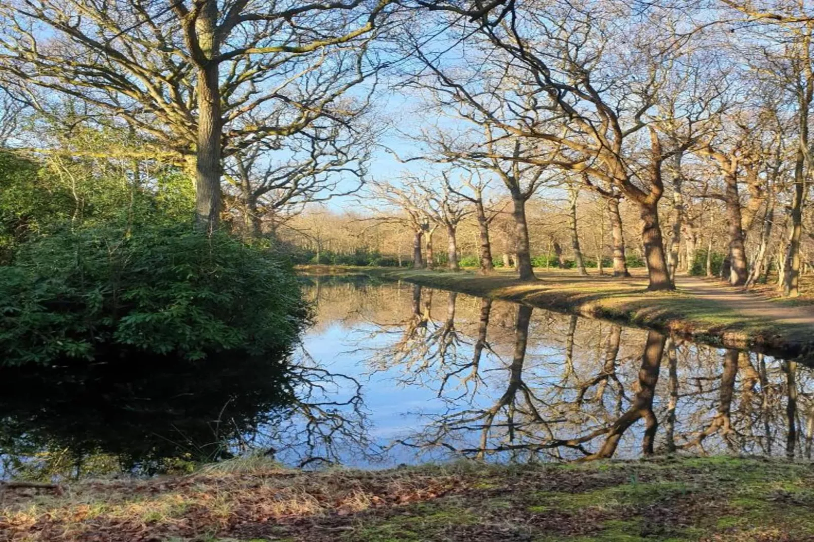 Twee Duinen-Areas within 20km in summer