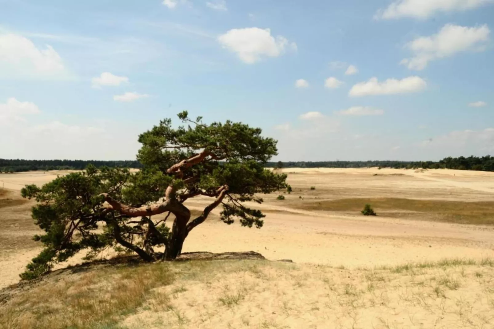 Barok Harderwijk 325-Areas within 20km in summer