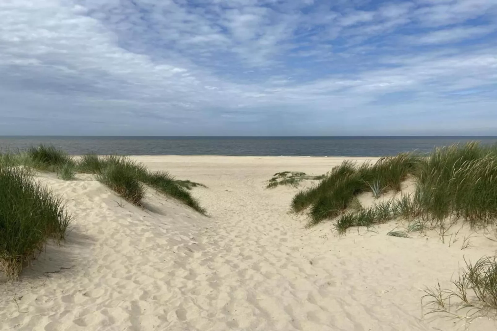 Vroondijk 2- Zeepeertje-Zones été à 20 km