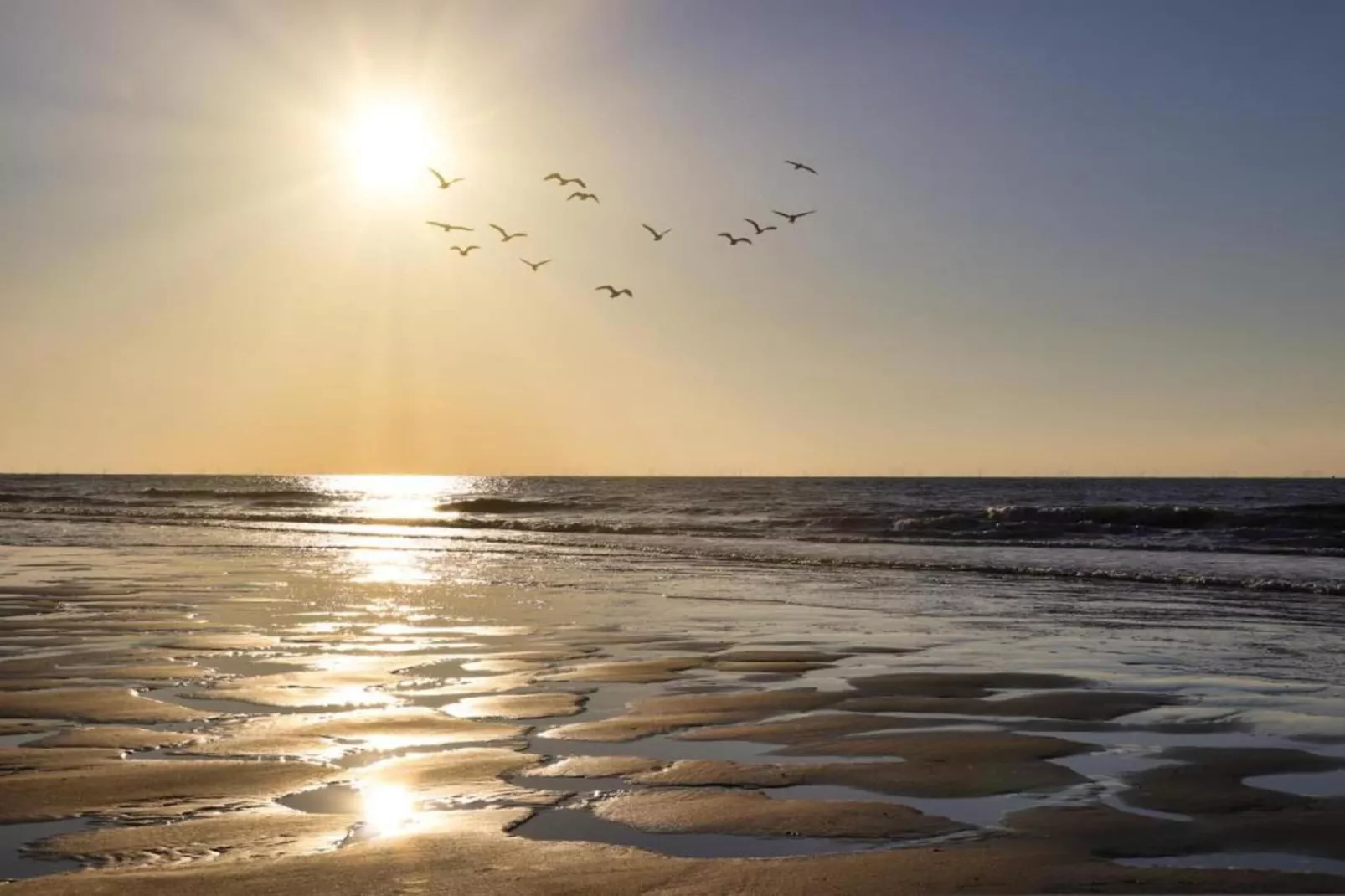 Noordzee Resort Vlissingen 3-Areas within 20km in summer