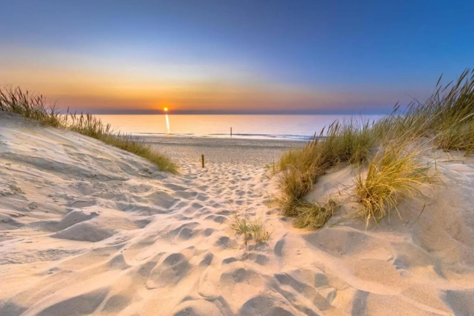 Vakantiepark Hof van Zeeland 2-Gebiete Sommer 20 km