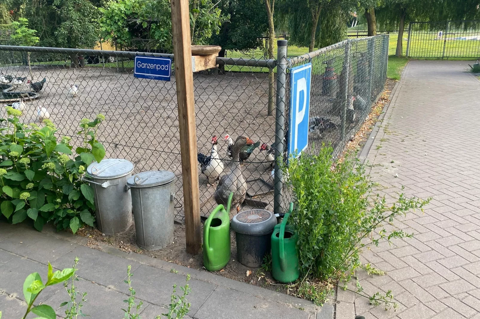 Pipowagen de Weideblick-Facilities