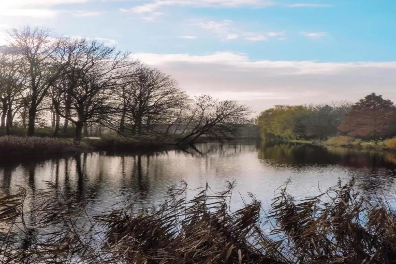Resort Waterrijk Oesterdam 4-Areas within 20km in summer