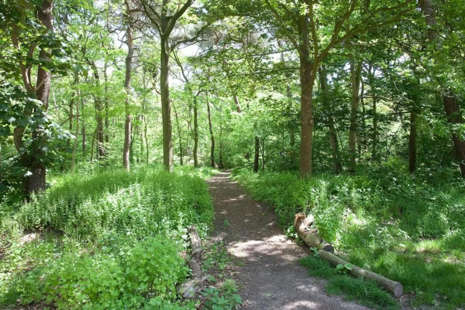Vakantiepark de Katjeskelder 19-Areas within 5km in summer