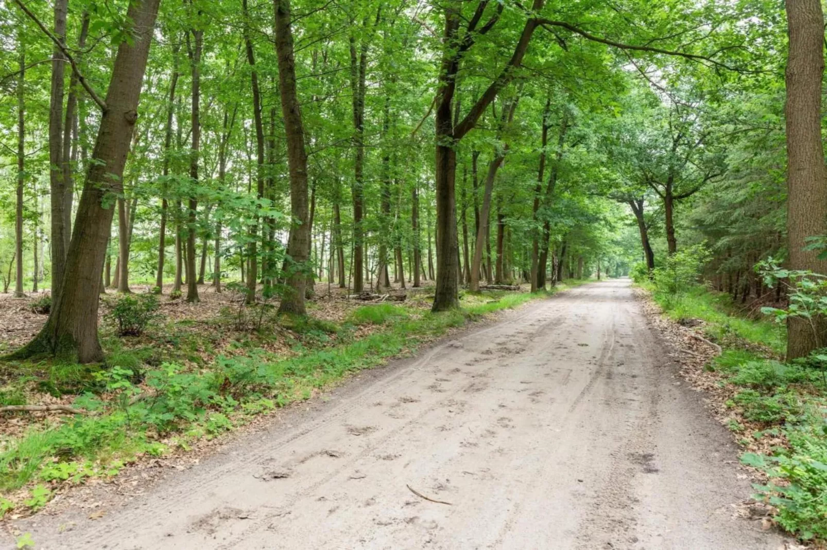 NR 3-Areas within 20km in summer