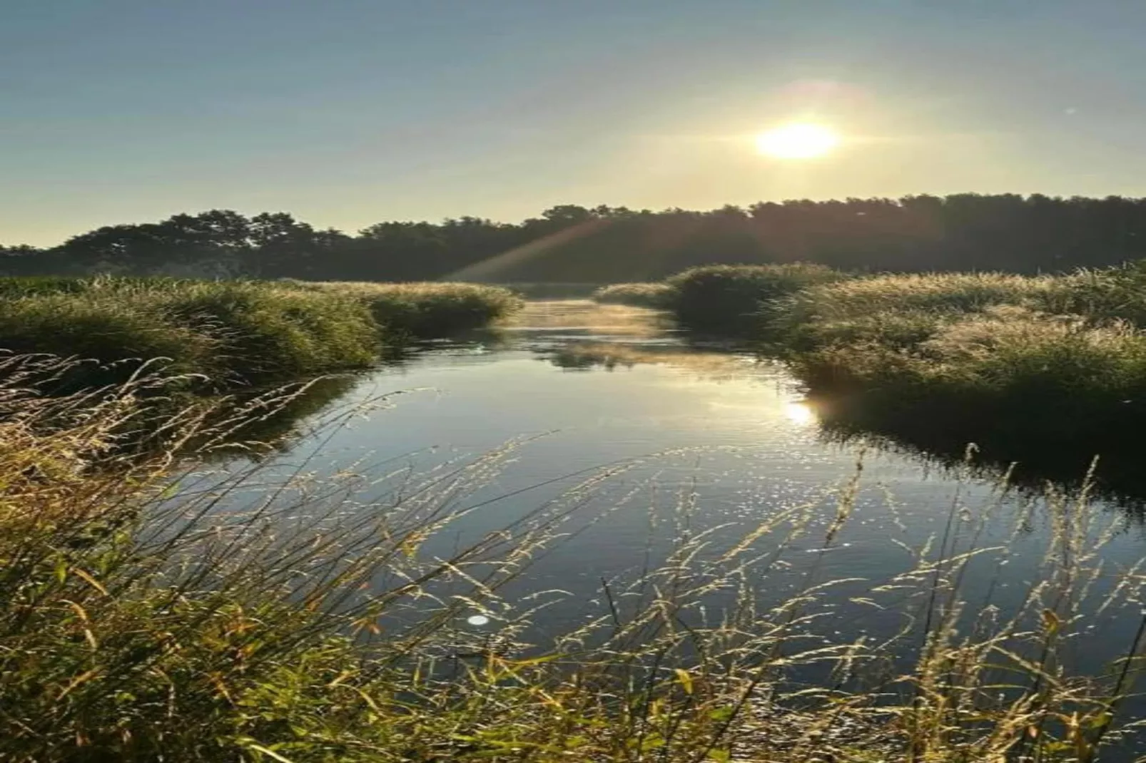 De Vrije Vogel-Areas within 20km in summer